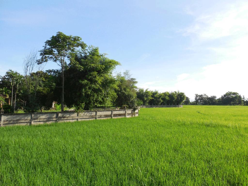Palm Spa Village Resort Mae Rim Exterior foto